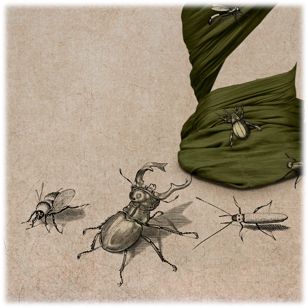 close up of figurative photo art piece showing insects on the floor