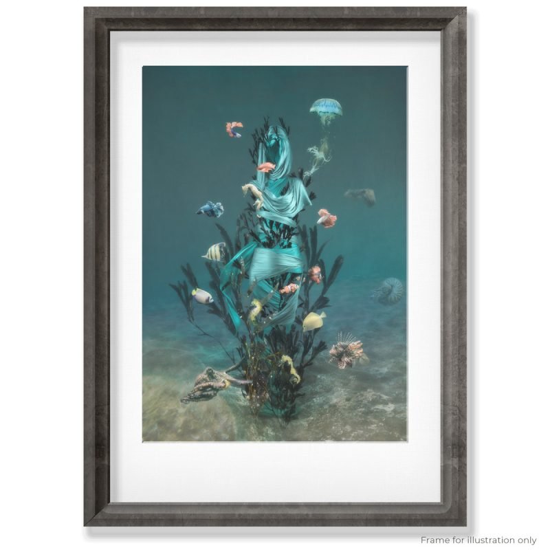 Figurative photo art featuring fish and sea horses