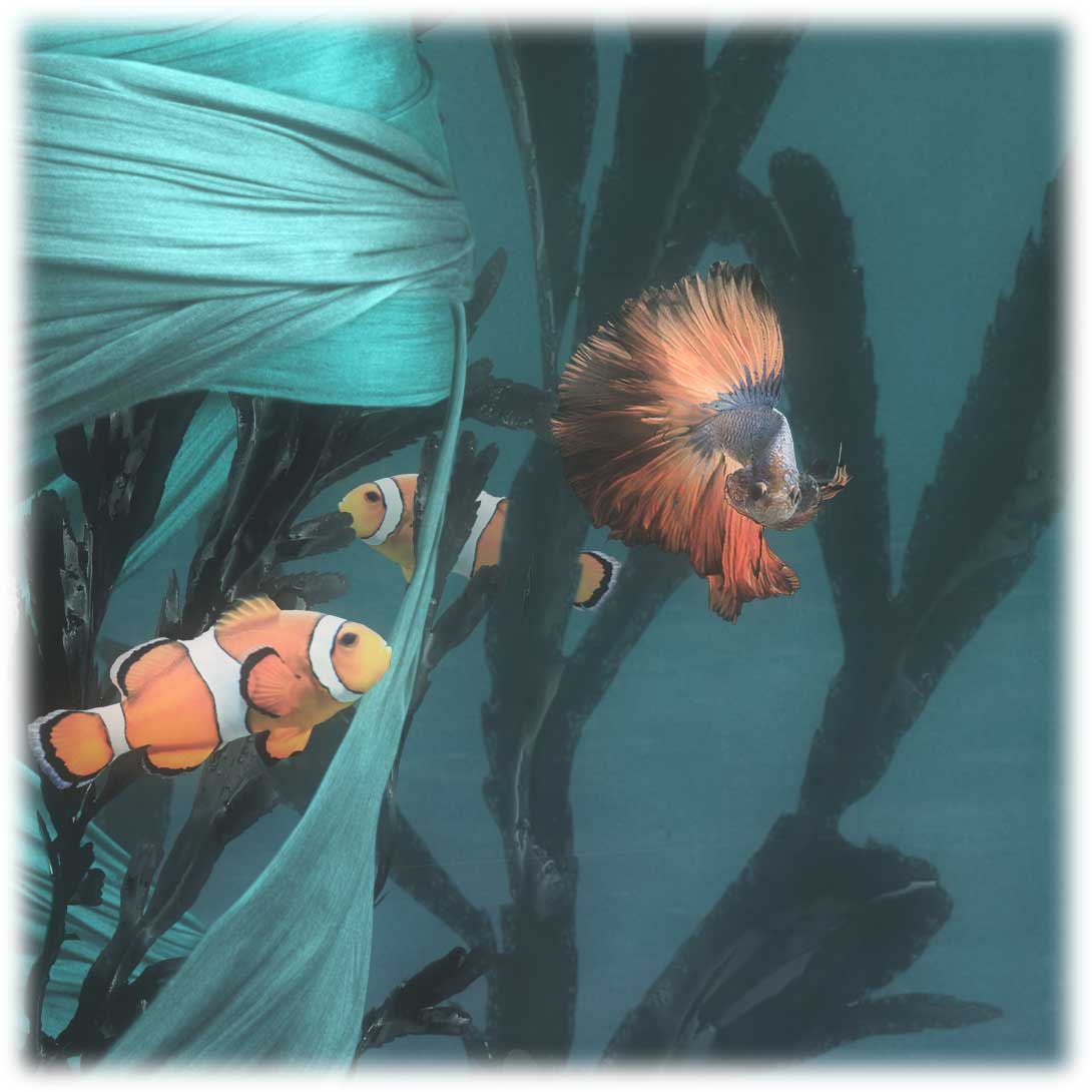 close up of underwater photoart piece including some clown fish